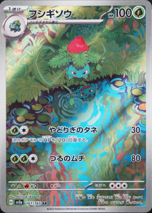Ivysaur #167/165